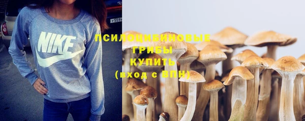 эйфоретик Вязники