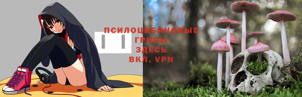 СК Волосово