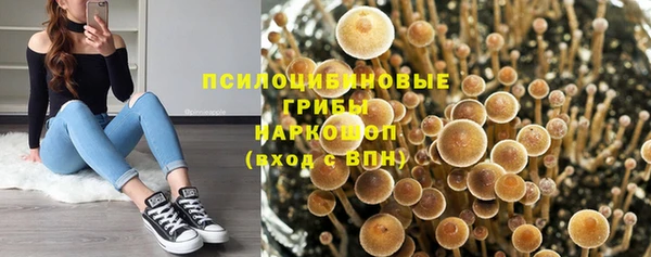 СК Волосово