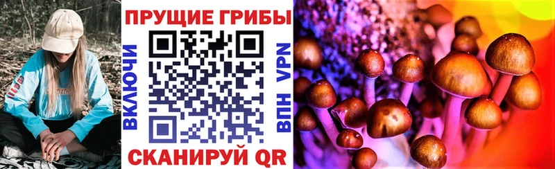 Купить где Любим Псилоцибиновые грибы мухоморы
